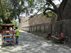 Kotla wall