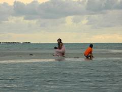 DSCN4731 DSCN4731
