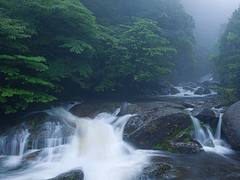 Kusugawa trailhead, Yakushima Island