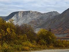 4Y1A4402-2