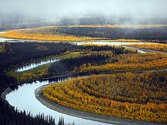 South Fork of Koyukuk River
