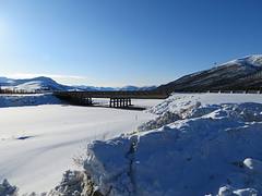 Bridge over the Koyukuk River