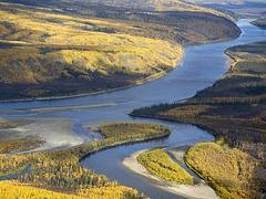 Koyukuk & Kanuti Rivers