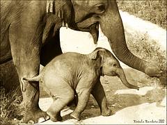 Mother and child