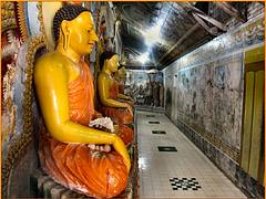 MASS CONTEMPLATION. SRI LANKA.