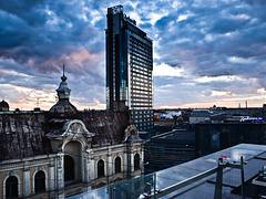 SMF_2489 SMF_2489