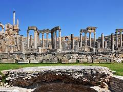 Tunisia-2855 - Good-bye to Dougga