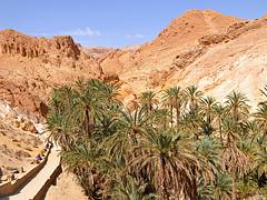 Tunisia-3991 - Chebika