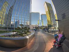 Wheelchair Photographer, CityCenter, Las Vegas Wheelchair Photographer, CityCenter, Las Vegas