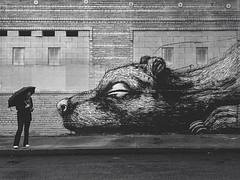 What happened downtown / Los Angeles