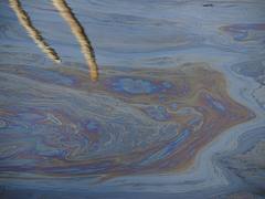 oil on the surface, La Brea tar pits DSC_0963