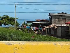 IMG_1558
