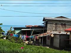 IMG_1558 kkc