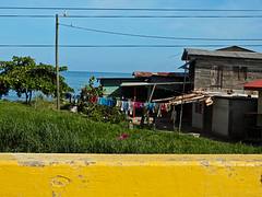 IMG_1558