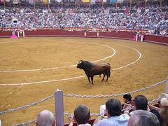Plaza de toros de Almería