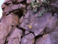 My Public Lands Roadtrip: Agua Fria National Monument in Arizona