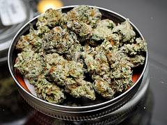 Blackberry Kush, Indica