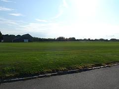 long island sod farm