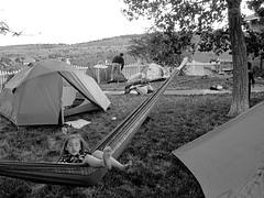 Hammock Frolic - Great American Backyard Campout Hammock Frolic - Great American Backyard Campout