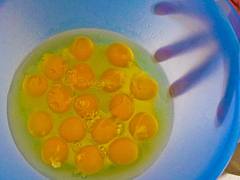 Cell Biology Cell Biology