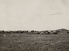 Leonora, Western Australia, 19 September 1929