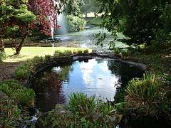 Lovely Sefton Park, Liverpool. Lovely Sefton Park, Liverpool.