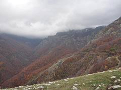 dsc_0686.jpg