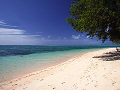 The Marshall Islands - Majuro - Laura Beach #4