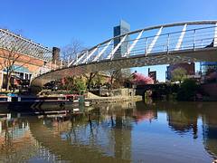 Manchester - Castlefield in Spring