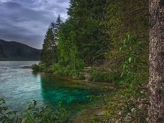 Almsee