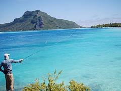 Casting in the blue lagoon, Maupiti
