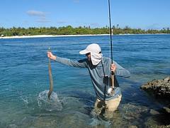 Cornetfish on large popper, Maupiti