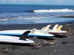 Surfing in Tahiti