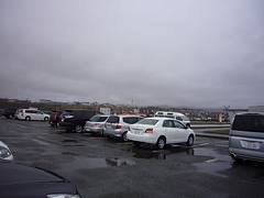P1050629 P1050629