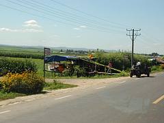 DSC_1091
