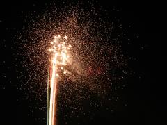 Fireworks 08 3