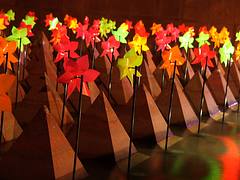 Shadows & Colours