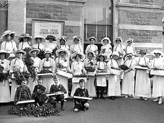 Wattle Day, Mount Gambier, 1914