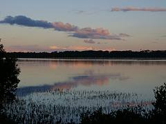 Lake Merimbula evening boardwalk Lake Merimbula evening boardwalk