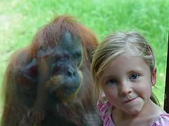 Monkeys