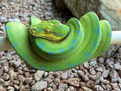 Fresh Shed
