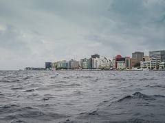 Male City