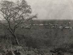Laverton, Western Australia, 19 December 1930 Laverton, Western Australia, 19 December 1930
