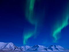 DSCF1396.jpg