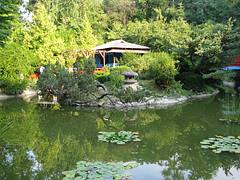 Botanical Garden, Cluj-Napoca, Romania 2008 Botanical Garden, Cluj-Napoca, Romania 2008
