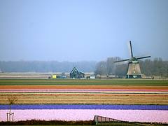 Netherlands