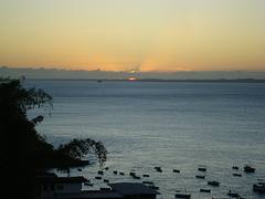 Salvador Nature