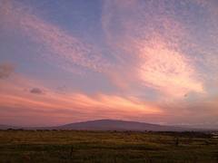 Kamuela sunset June 2 m