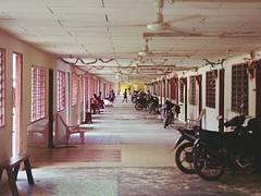 modern longhouse