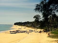 Nature - Terengganu -11